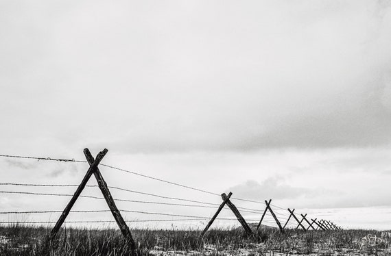 Christmas Tree Made From Barbed Wire Stock Photo - Download Image