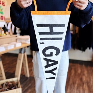 Hi, Gay! Retro Pennant Queer Pride Wall Decor image 3