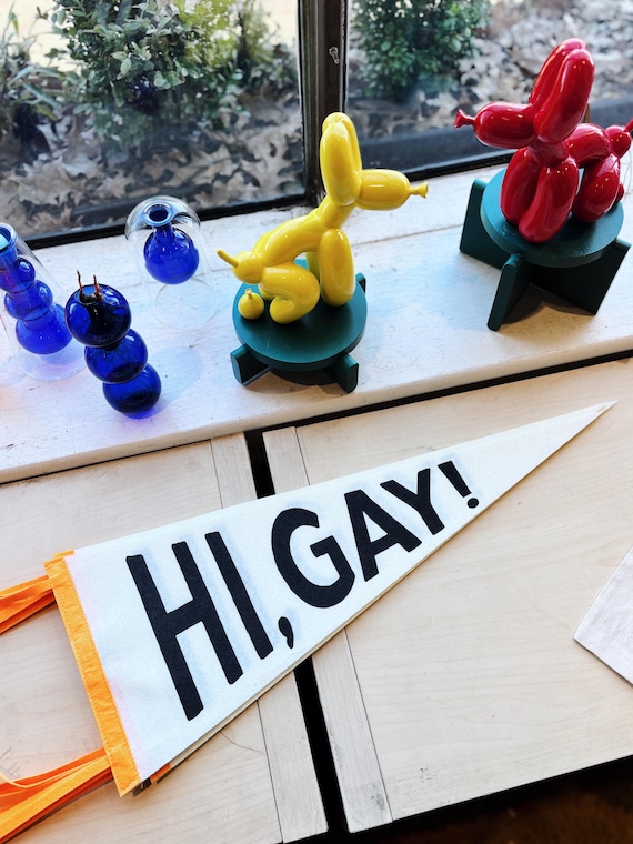 Hi, Gay! Retro Pennant Queer Pride Wall Decor
