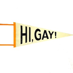 Hi, Gay! Retro Pennant
