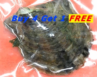 Akoya Oyster Individually Wrapped With 6-9mm Pearl BEST Quality and Price Discount - Order To Go