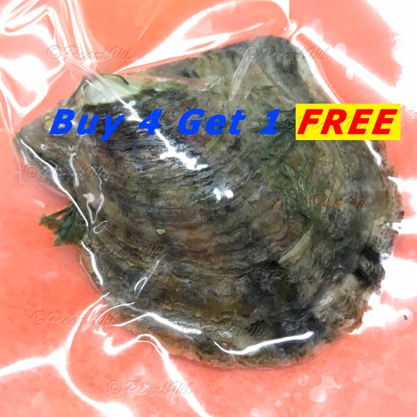 Akoya Oyster Individually Wrapped With 6.5-9mm Pearl BEST Quality and Price Discount - Order To Go