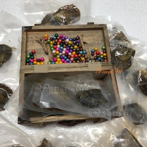 25 Akoya Oyster Individually Wrapped With 6-7mm Pearl BEST Quality and Price Discount - Order To Go