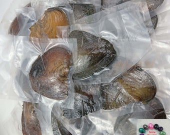 May include: A close-up of a pile of sealed plastic bags containing oyster shells. The shells are a variety of colors, including brown, black, and green. The image also shows a small circle of possible pearl colors.