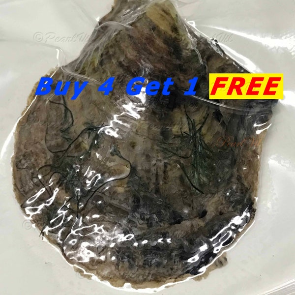 Akoya Oyster Individually Wrapped With 6-7mm Pearl BEST Quality and Price Discount - Order To Go - Buy 4 Get the 5th Free