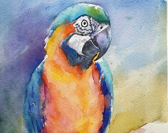 オウムの水彩画、コンゴウインコの絵、鳥好きへの贈り物、カラフルな鳥
