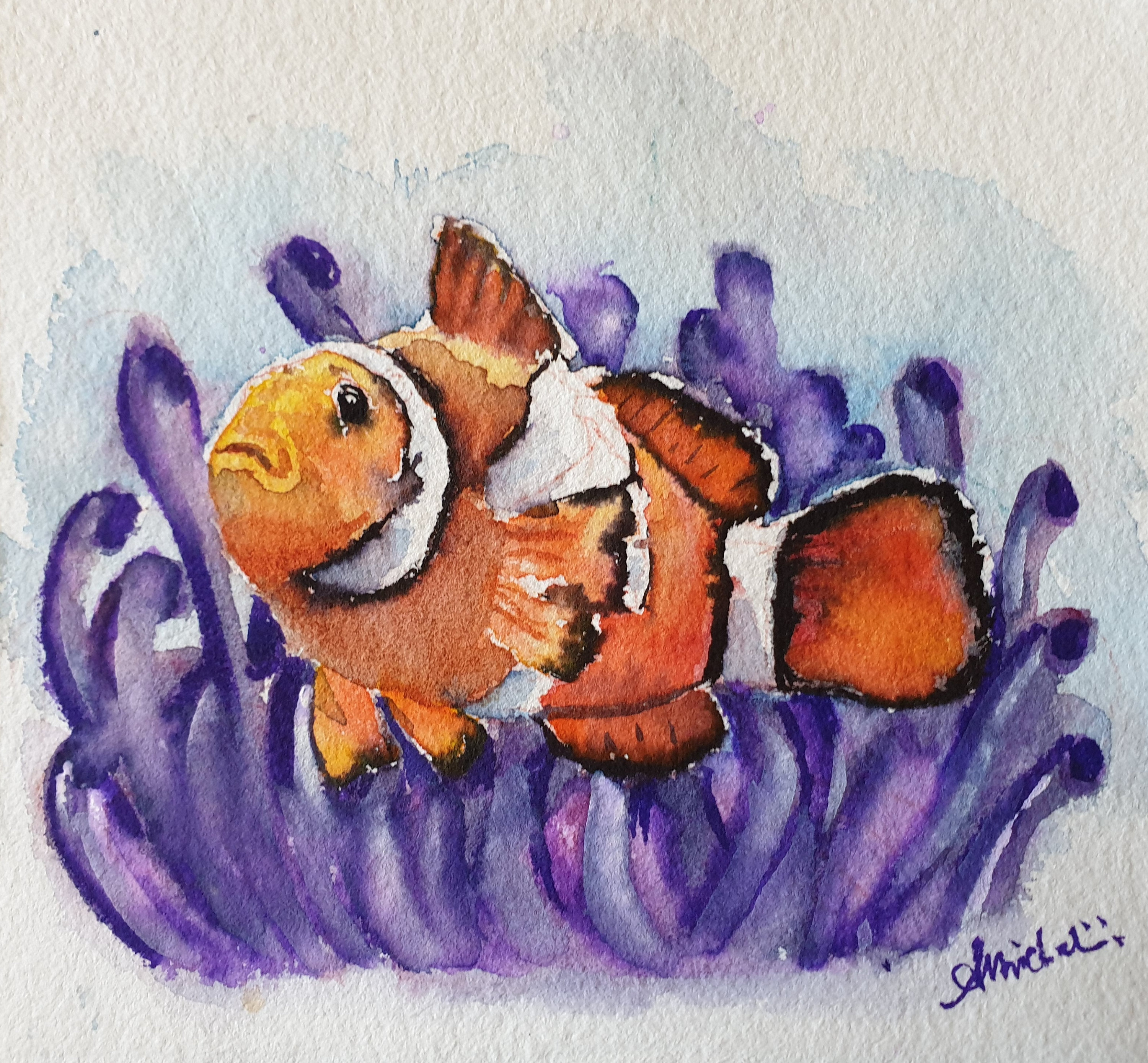 カクレクマノミのオリジナル水彩画、カクレクマノミのアートワーク