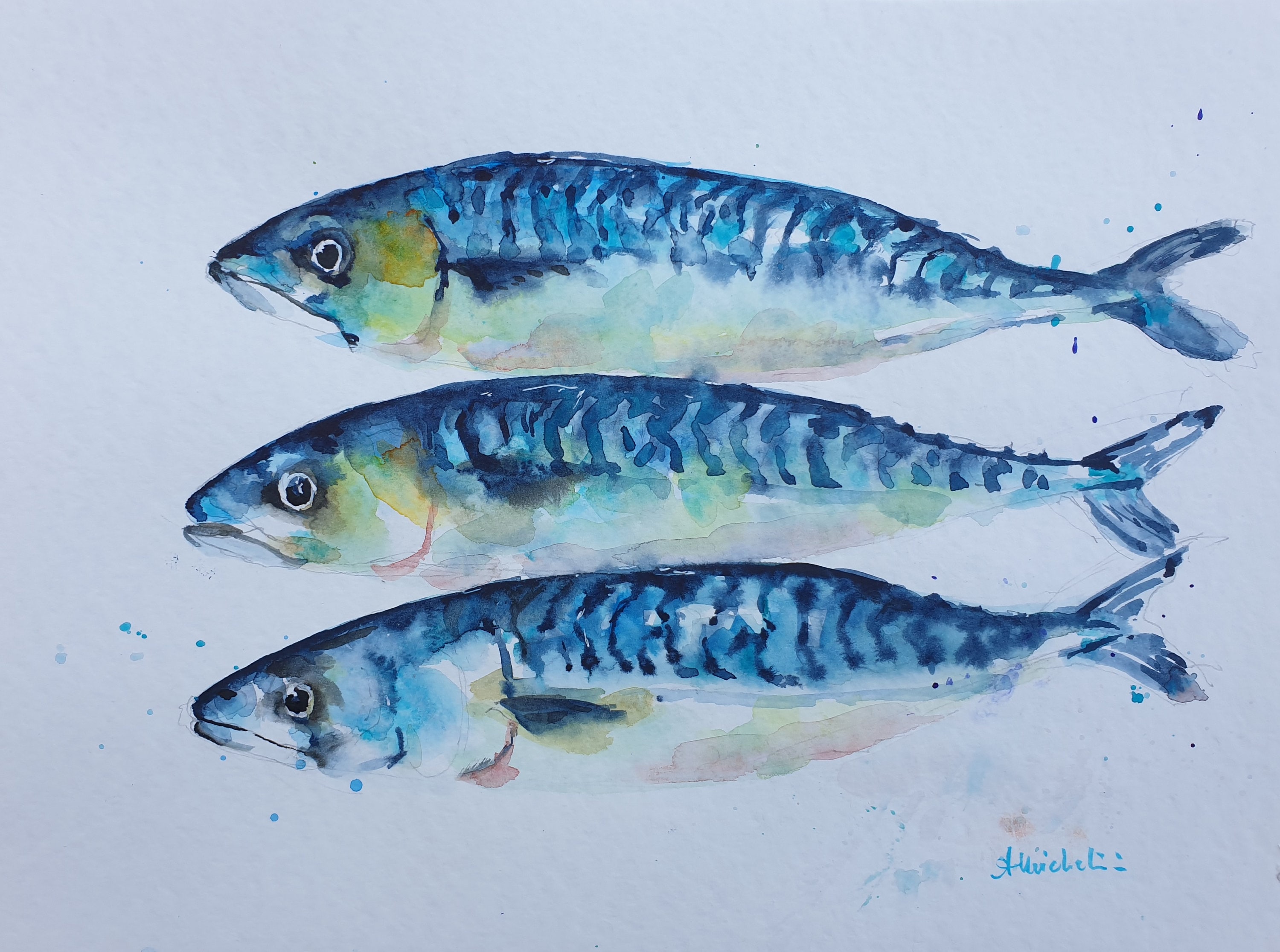 Lure Painting: How to Paint a Mackerel 
