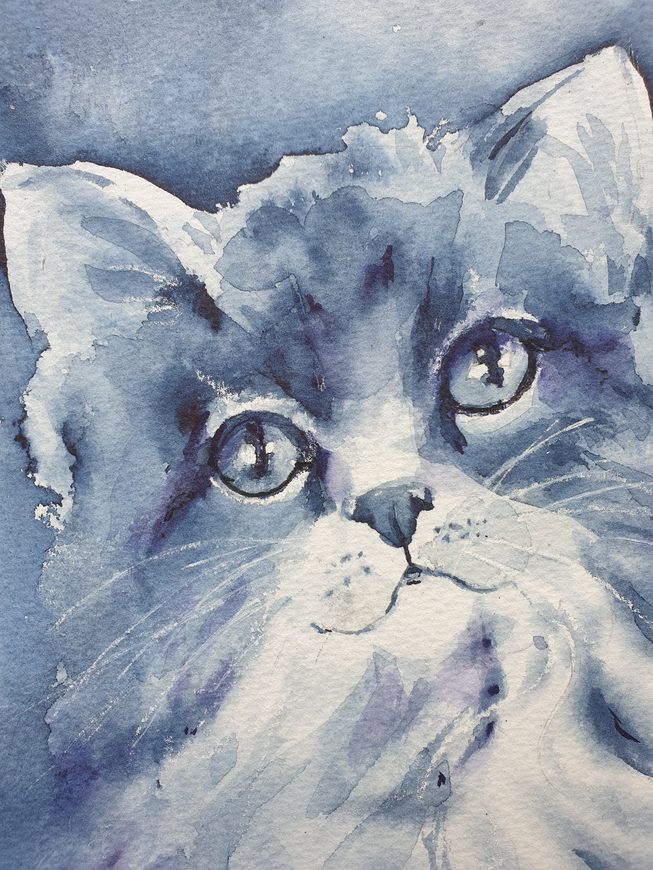 青い猫のオリジナル水彩画、かわいい青い子猫の絵、青い目の猫のアート