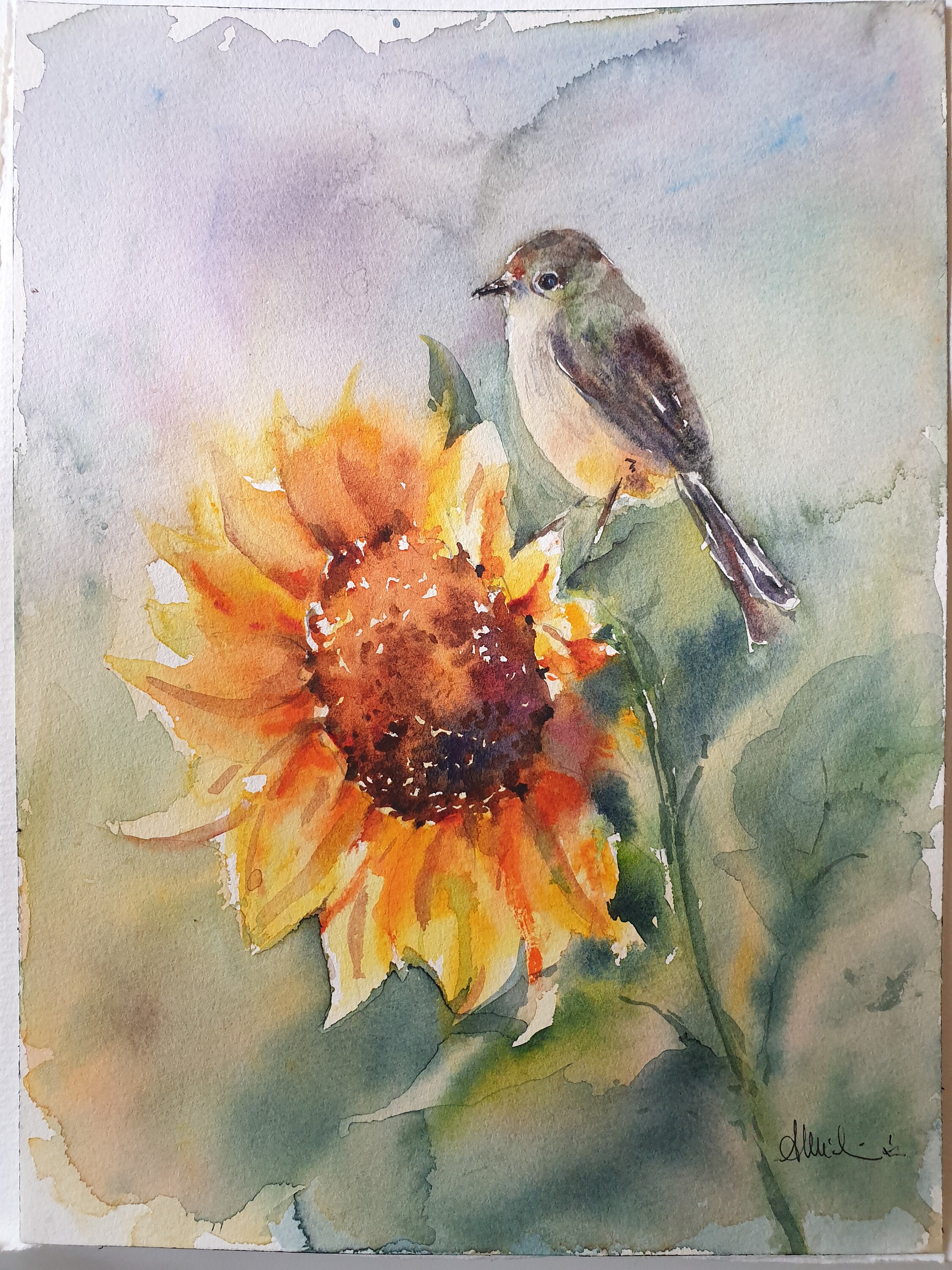 ひまわりに鳥の絵、ひまわりの水彩画、ひまわりに鳥の水彩画