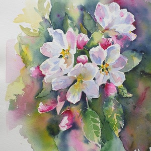 Acquerello originale dei fiori di melo Dipinto di fiori di melo Fiori rosa sul ramo di un albero Fiore libero di primavera