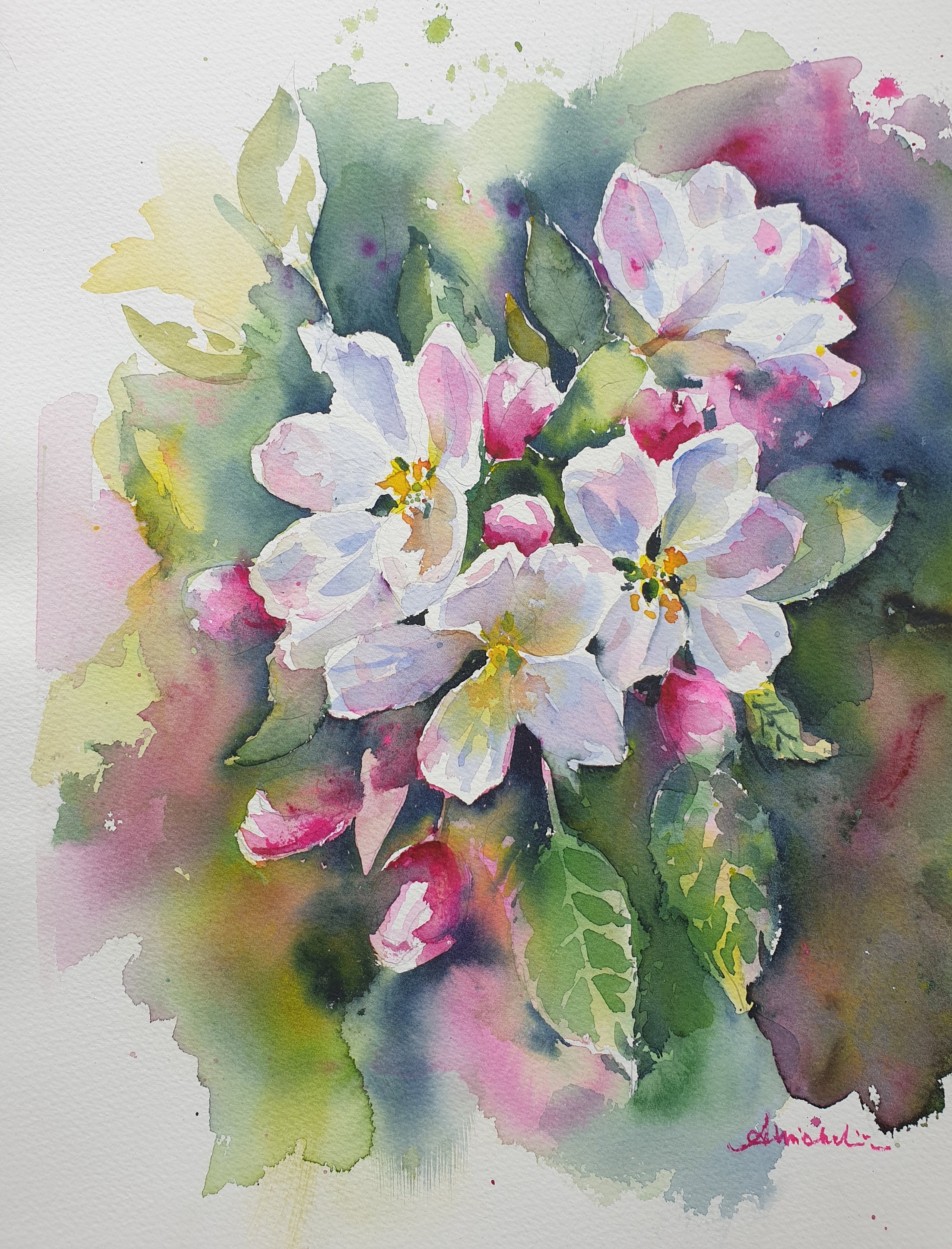 リンゴの花のオリジナル水彩画 リンゴの花の絵 枝に咲くピンクの花