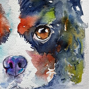 cavalier king close up Painting, original watercolor dog Portrait ,Dog Memorial, illustration pet dog 6.5x4.5 inches