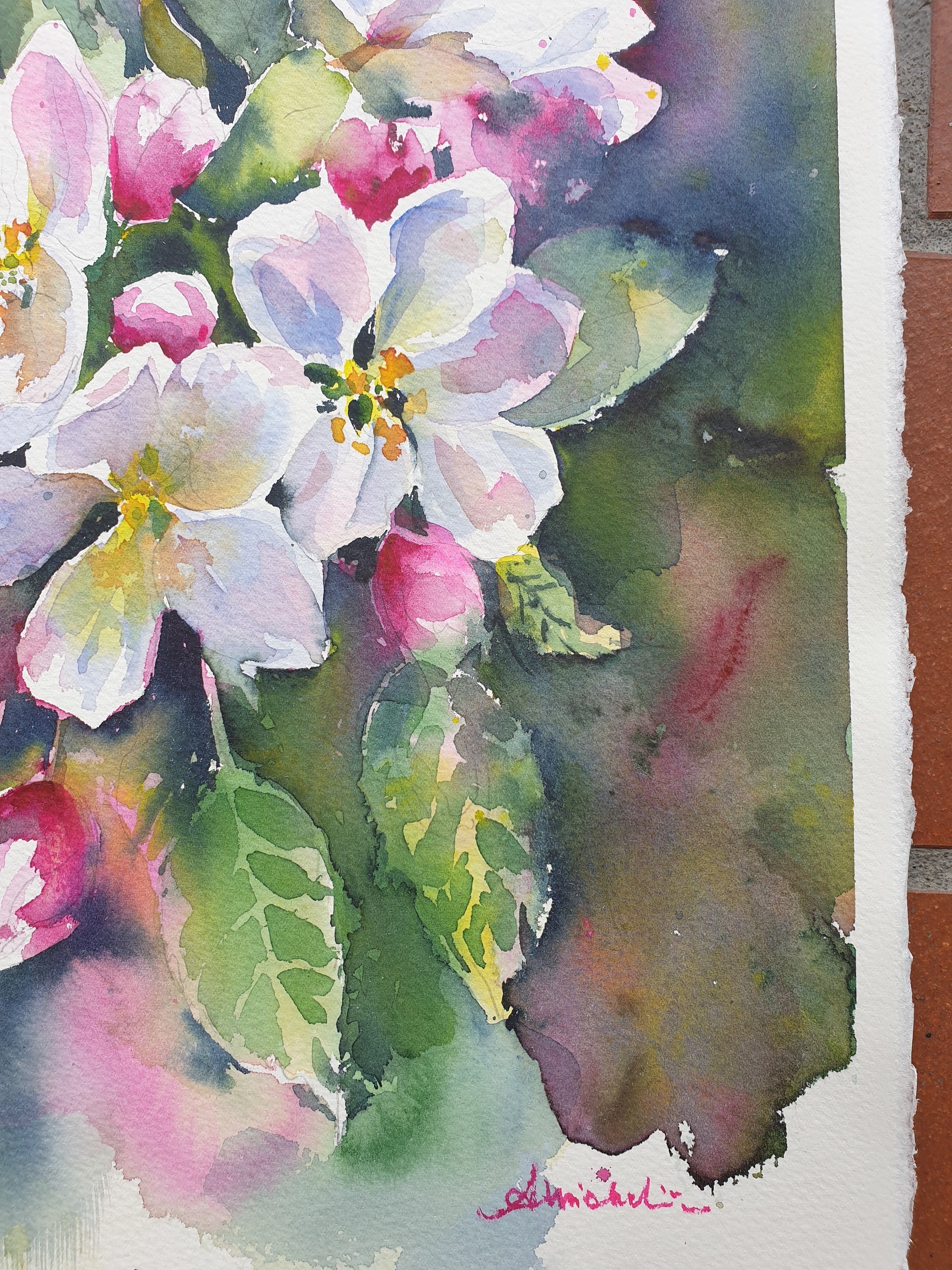 Apple Blossom Original Watercolor Apple Flowers Painting Pink Flowers ...