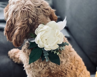 Artificial Floral White Dog Ring Bearer Collar-Wedding Dog Ring Bearer Pillow-Silk Flower Dog Ring Bearer Holder-Wedding Dog Bearer