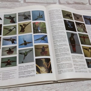 Vintage bird book 90s, guide book fauna of the world, birds directory, hardcover book on birds, photography of birds, bird picture book
