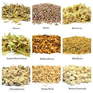 Dry Flowers & Petals 60 Types 5g 25g Flower Crafts Soap Candle Supplies Tincture Herbal Tea Infusion Natural Dried Flowers Arrangements image 10