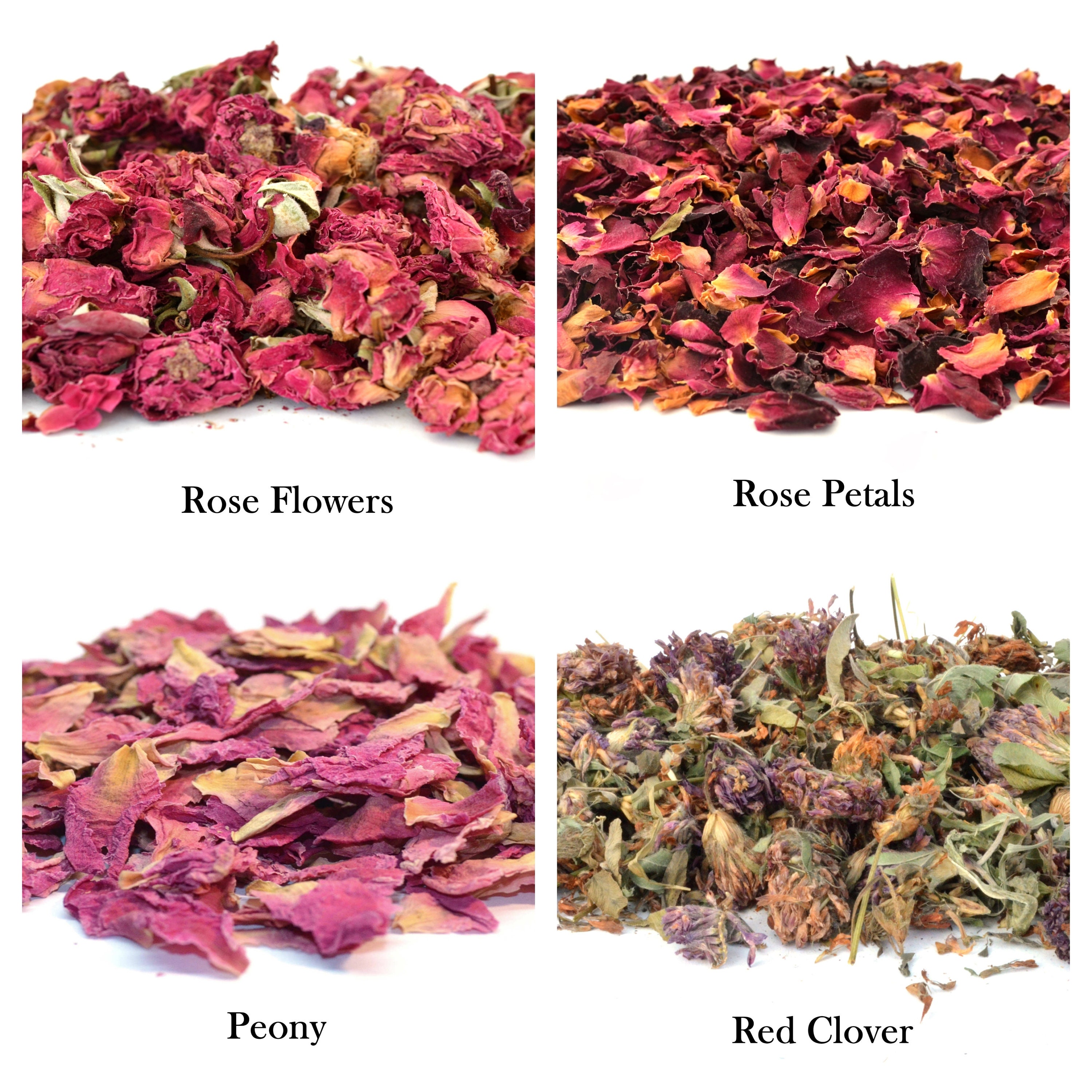 54 Types of Edible Dried Flowers & Petals for Tincture Tea Etsy UK