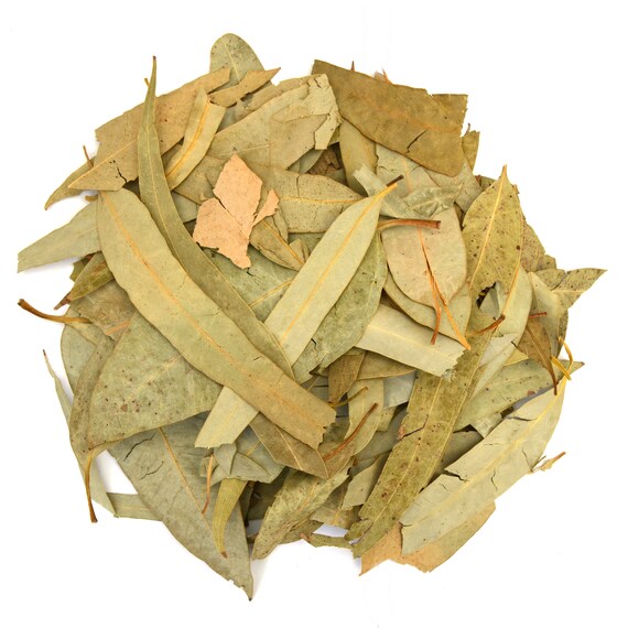 Feuilles d'eucalyptus séchées 100g Thé d'eucalyptus Tisane Eucalyptus  Globulus Thé en vrac Thé en vrac Herbes Épices Fleurs séchées -  Canada