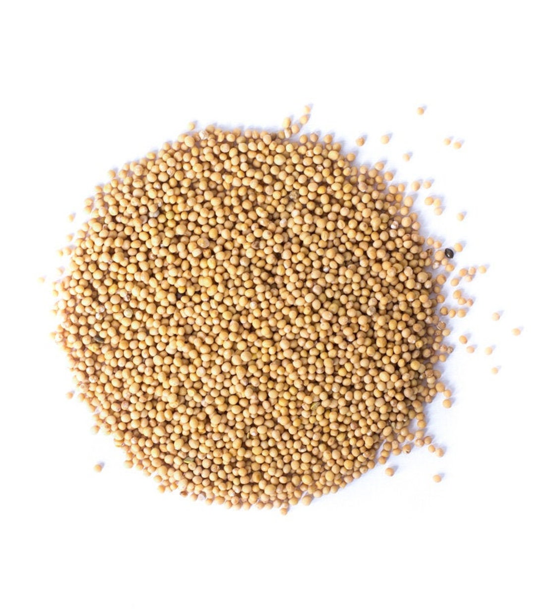 Sinapi Mustard