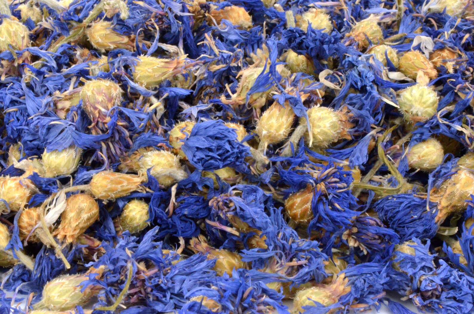 Blue Cornflower Flowers 5g 50g Dried Rabbit Treat Etsy