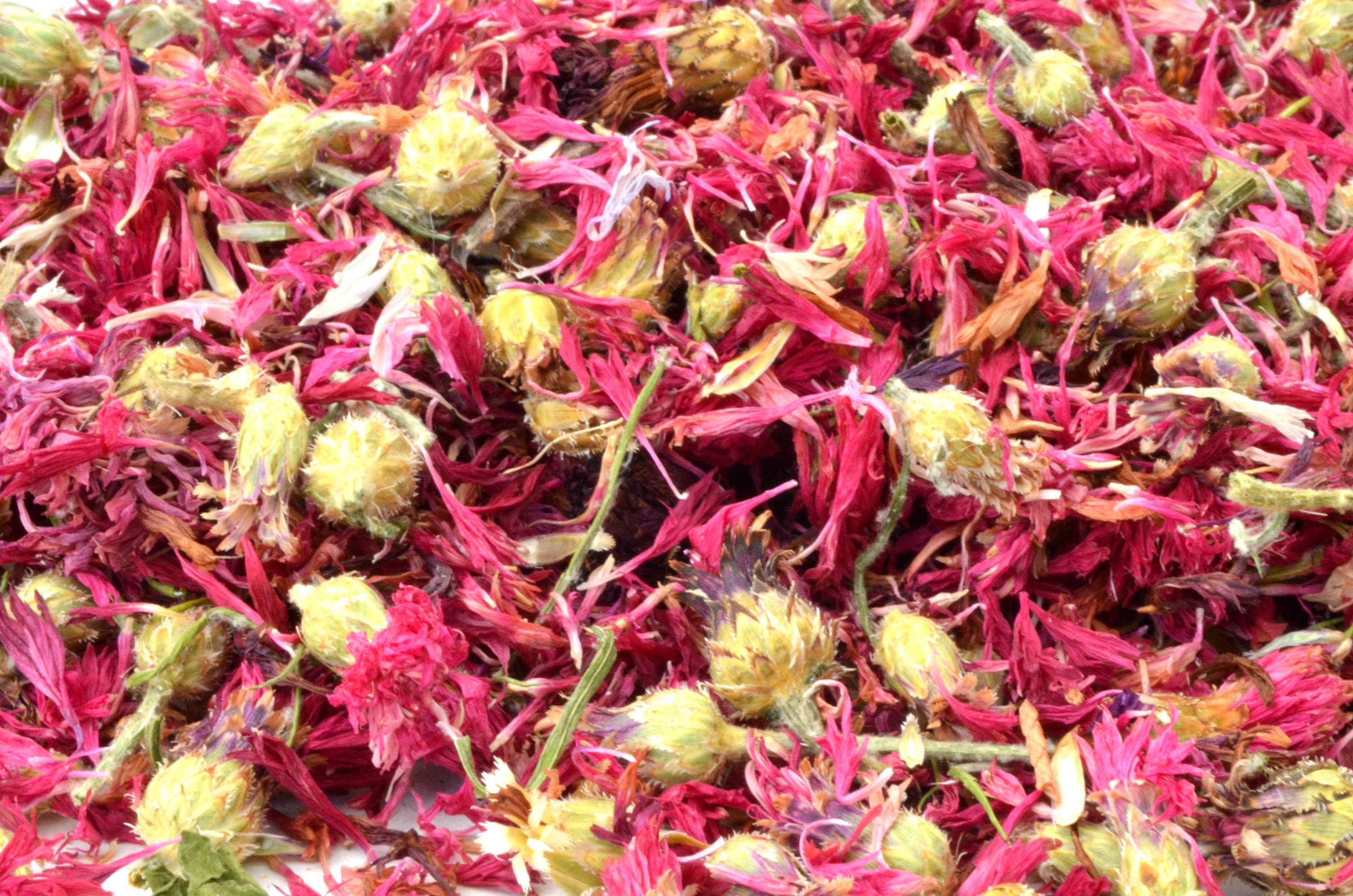 Pink Cornflower Flowers 5g 50g Dried Rabbit Treat Etsy UK