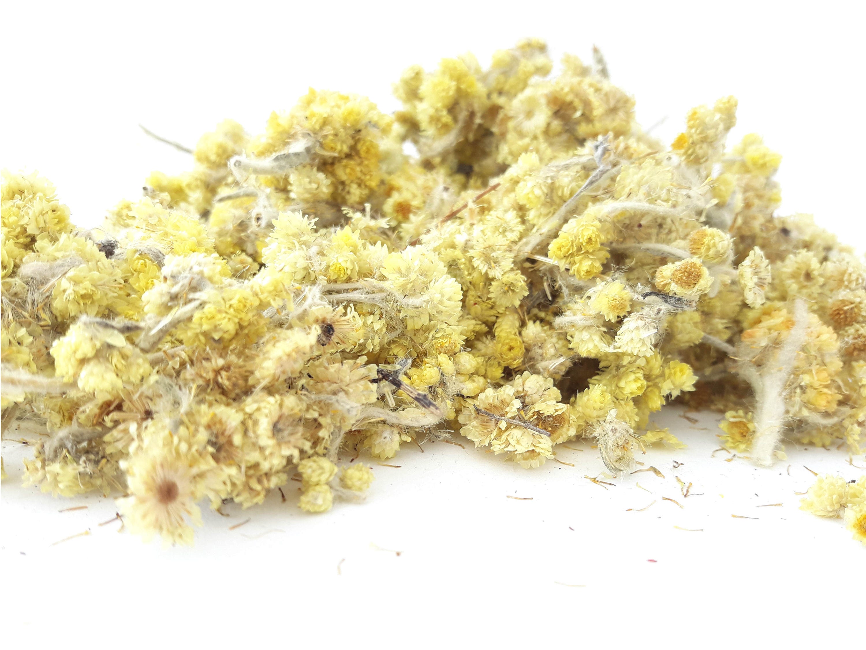 Helichrysum Flowers 100g Dried Premium Quality Tea Tea Etsy
