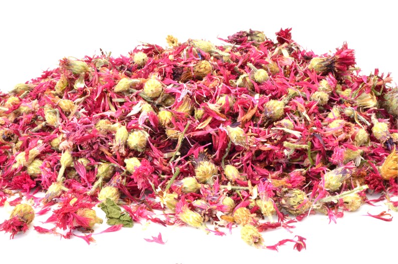 Pink Cornflower Flowers 5g 50g Dried Rabbit Treat Etsy UK