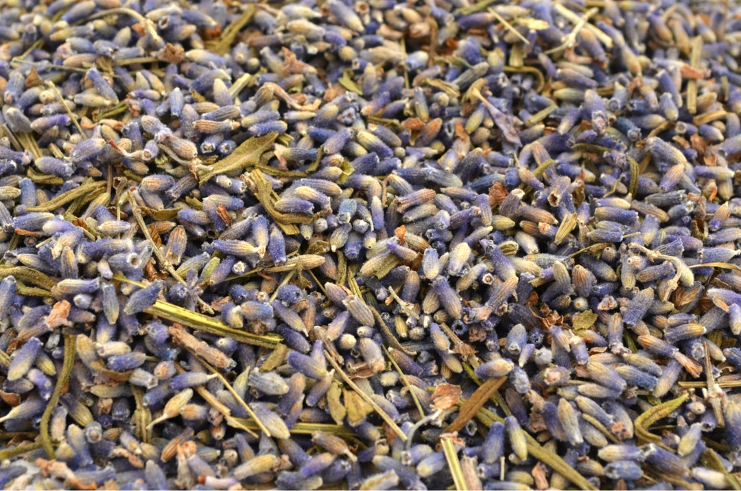 Edible Lavender Flowers 250g for Herbal Tea Making Cooking Gin Etsy