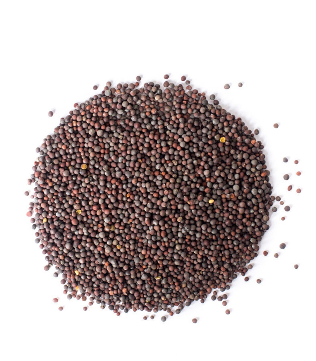 Black / Brown Mustard Seeds 100g Brassica Nigra Whole Mustard Seeds