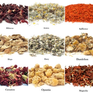 Dried Flowers 54 Types Culinary Grade Edible Flowers for Herbal Tea Cake Decoration Infusion Gin Tonic Dry Edible Petals UK Stock image 9