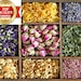 Dry Flowers & Petals 60 Types for Bath Bomb Soap Candle Jewellery DIY Arts Crafts, Natural Wedding Confetti, Potpourri Making Tea 5-25g