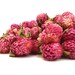 see more listings in the Dried Flowers 5g - 50g section