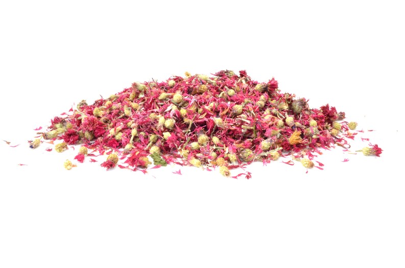 Pink Cornflower Flowers 5g 50g Dried Rabbit Treat Etsy UK