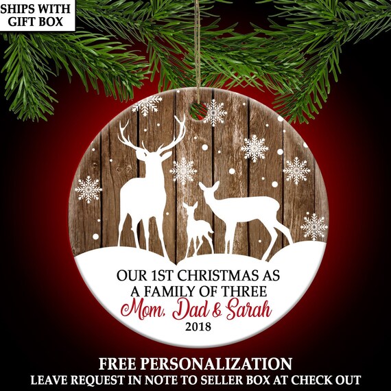 Our First Christmas As A Family 