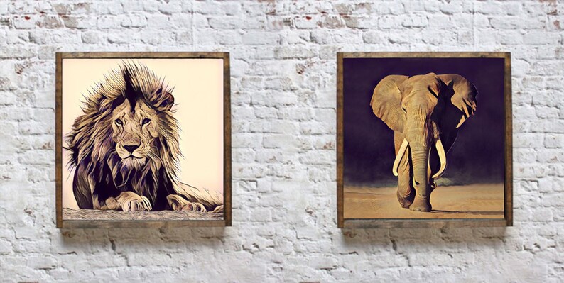 May include: Two framed animal illustrations. The left frame shows a lion with a mane, lying down and looking directly at the viewer. The right frame shows an elephant with large tusks, walking towards the viewer.