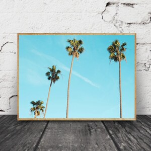 Palm Tree Wall Art, Beach House Decor, Beach Wall Art, Ocean Art Photo, Nature Lovers Photography, Coastal Beach Print, Nature Inspired Art