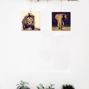 May include: Two framed animal prints hanging on a driftwood branch. The left print features a lion, while the right print features an elephant. The prints are hanging on a white wall with three potted succulents in front of a white radiator.