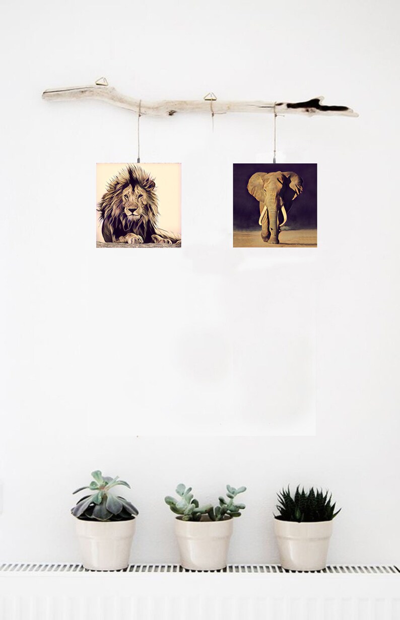 May include: Two framed animal prints hanging on a driftwood branch. The left print features a lion, while the right print features an elephant. The prints are hanging on a white wall with three potted succulents in front of a white radiator.