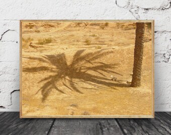 Fotografía de palmeras, arte inspirado en la naturaleza, amante de los viajes, decoración de la casa de playa, foto de arte de playa, arte de la pared de la palmera, arte del desierto, sabana