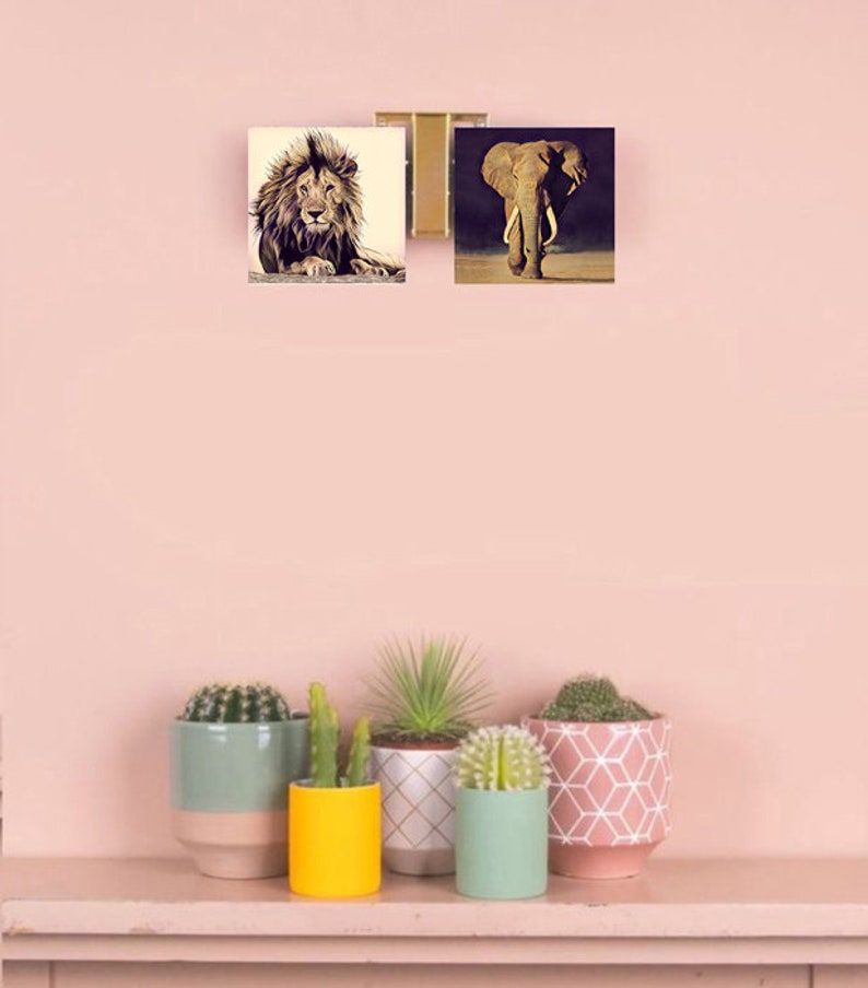 May include: Two framed prints of animal photographs. The top print shows a lion with a brown mane. The bottom print shows an elephant with large ears and tusks. The prints are hanging on a light pink wall above a shelf with five potted succulents.