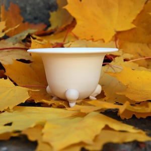 Può includere: Un piccolo vaso di ceramica bianco sporco con tre piedini arrotondati e un bordo largo. Il vaso è posto su uno sfondo di vivaci foglie autunnali gialle e arancioni, creando un'estetica calda e stagionale.