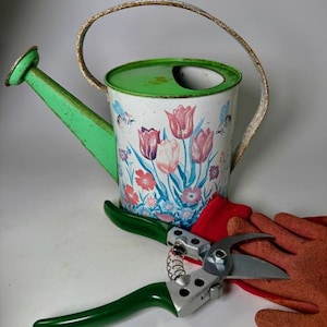 1950s Ohio Art Watering Can/Tulips, Flowers and Bees/Spring Garden 158F174