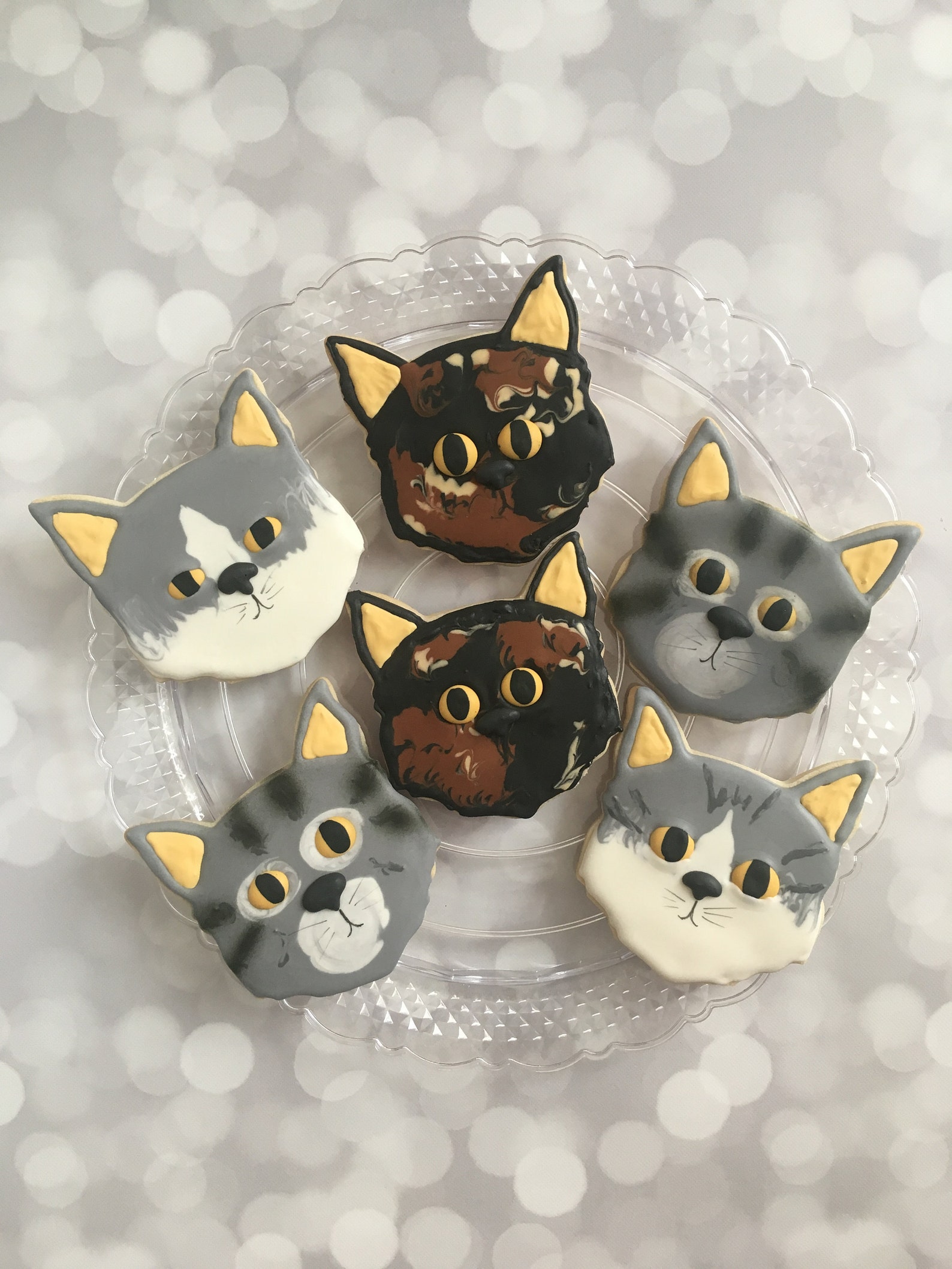 cat cookies buy online
