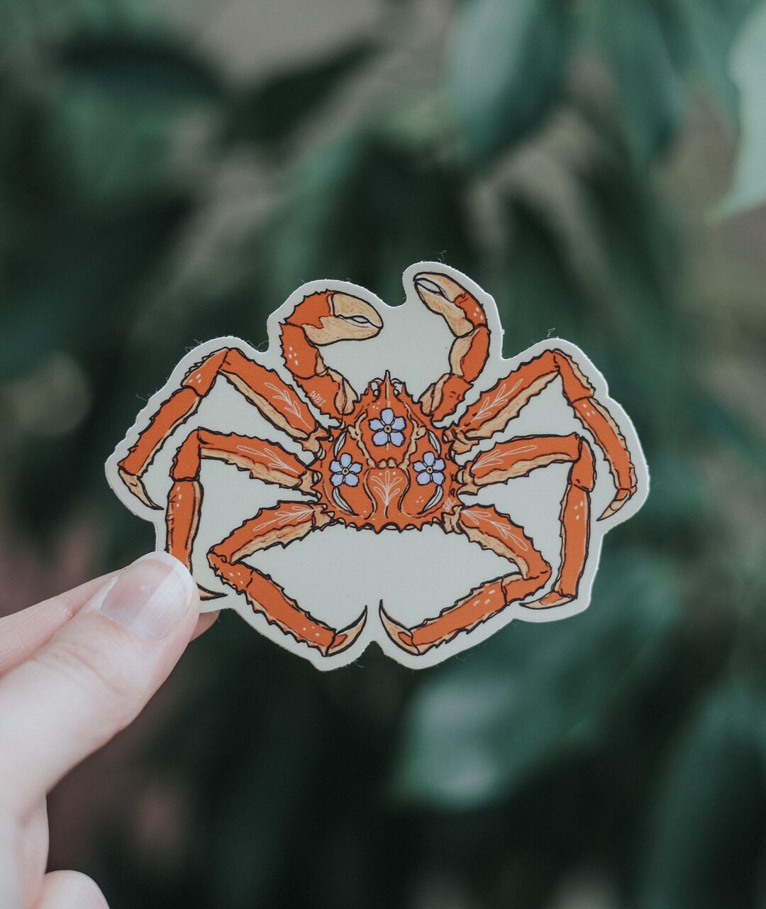 Crab Sticker (3.5in) - Etsy