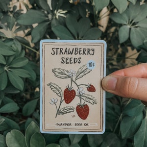 Strawberry Seed Sticker (3.5in)