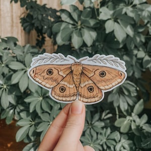 Moth Sticker (4in)