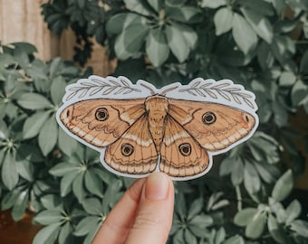 Moth Sticker (4in)