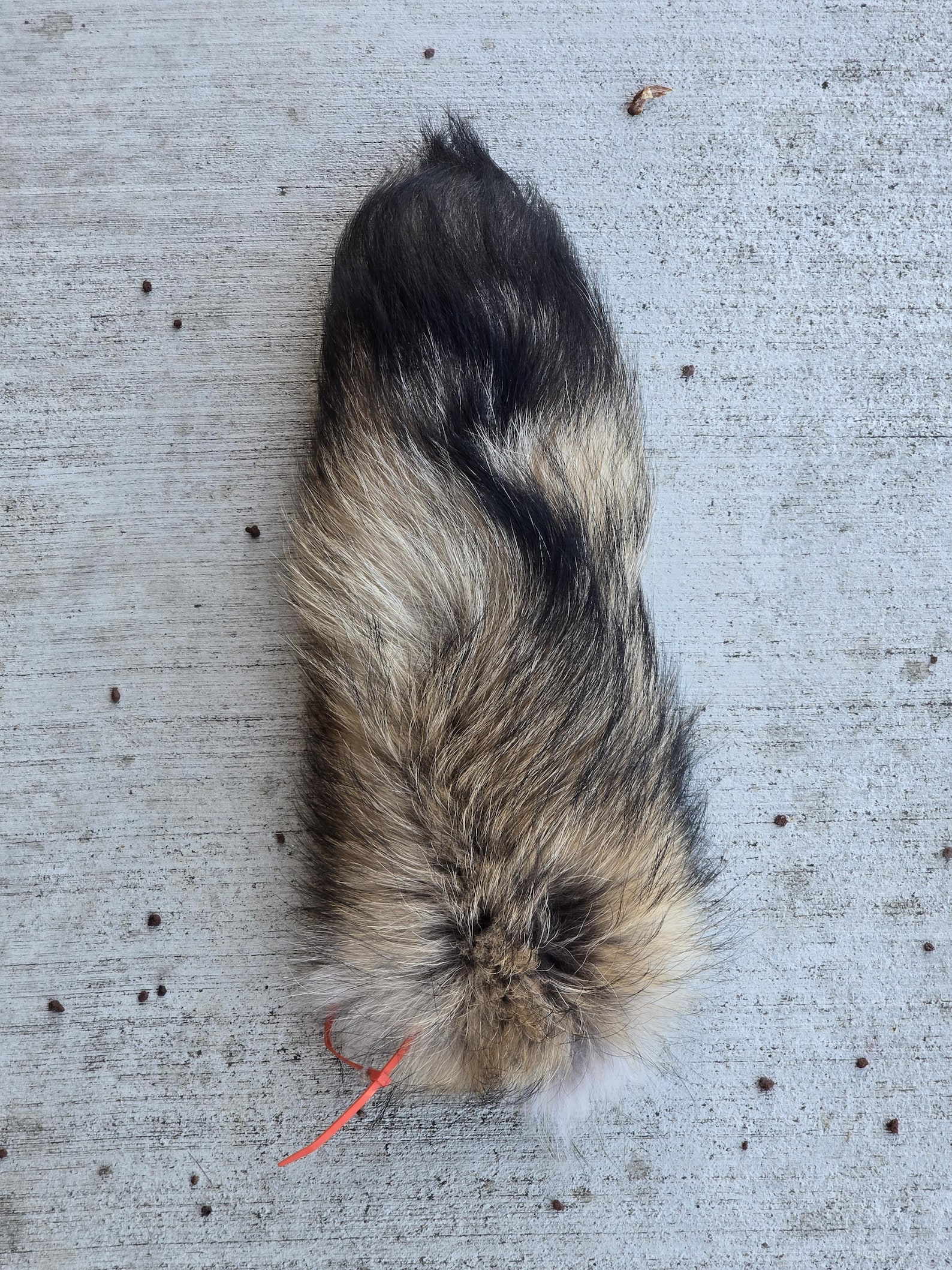 tanuki-tail-etsy