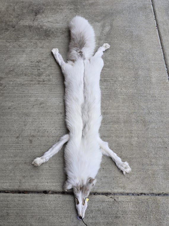Fawn Marble Fox - Etsy